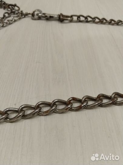 Строгий ошейник для собак