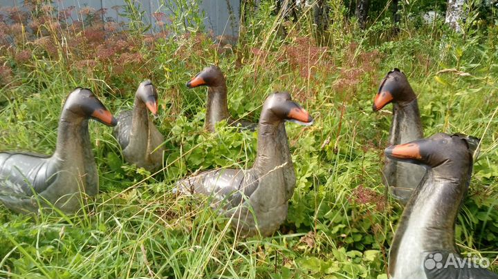 Муляж гусей
