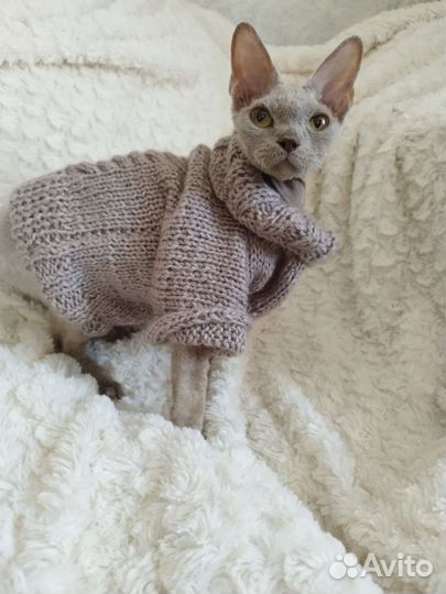 Кофточки для кошек или на маленькую собачку