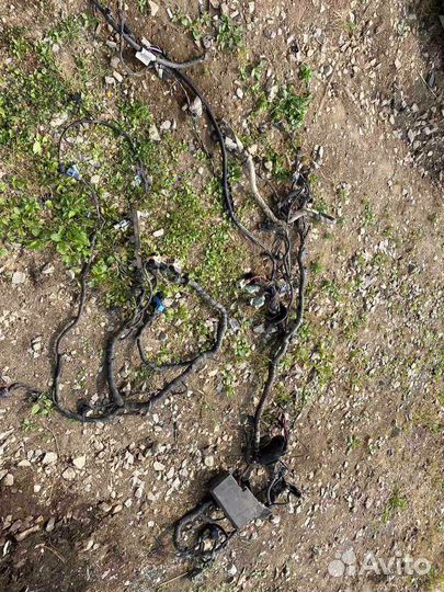 Подкапотная проводка Ford Focus 3