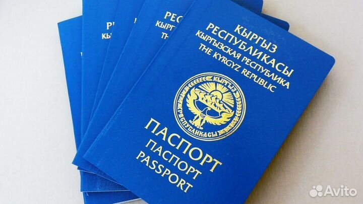 Помощь в получении гражданства Киргизии