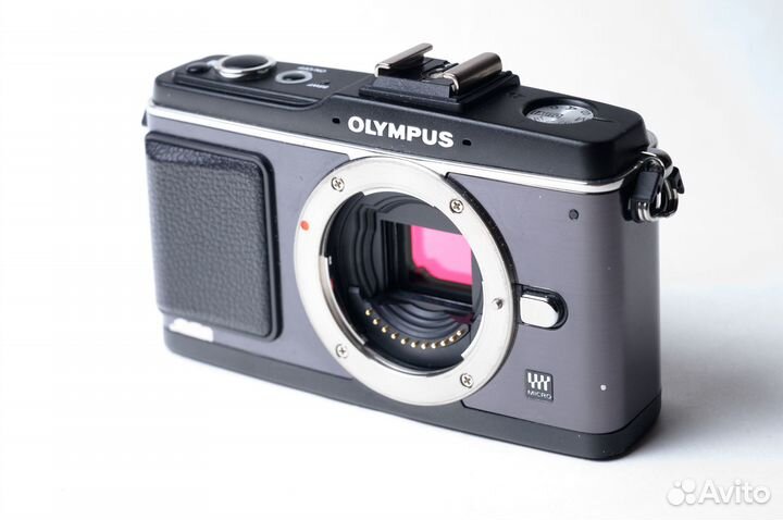 Olympus PEN E P2 + 17mm 2.8+VF-2+FL-14