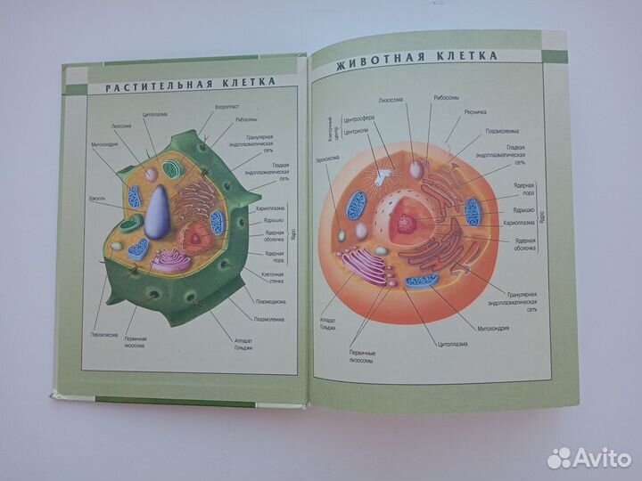 Учебники по биологии Теремов, Петросова 10,11