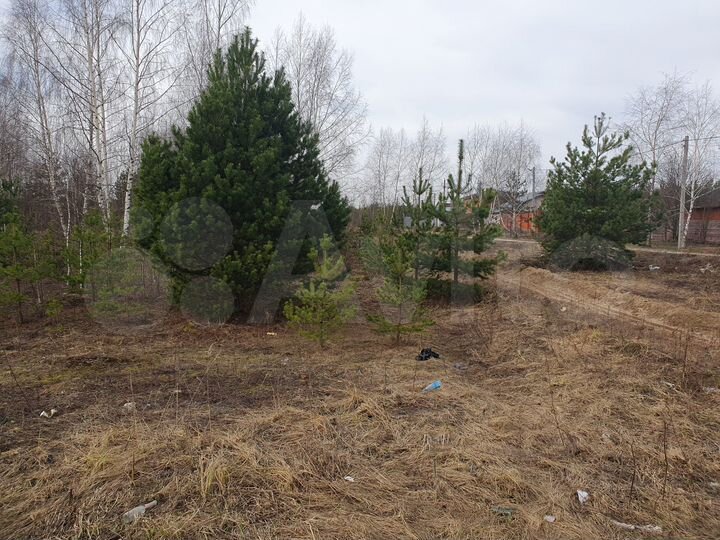 Участок 8,2 сот. (СНТ, ДНП)