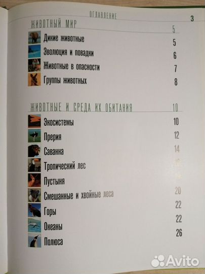 Занимательный атлас. Дикие животные