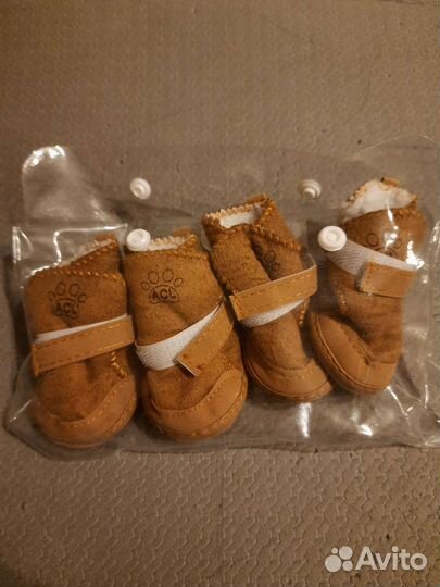 Обувь для маленьких собак