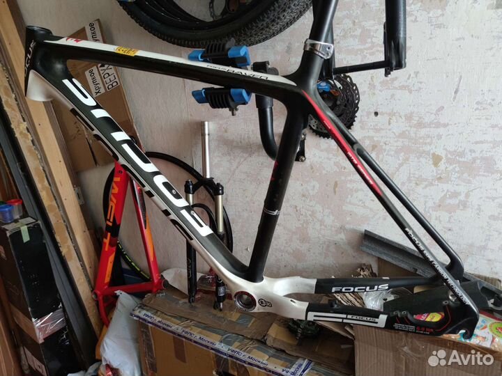 Focus Raven Carbon