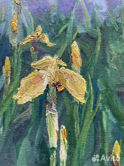 Картина с цветами маслом на холсте 20х20 ирисы