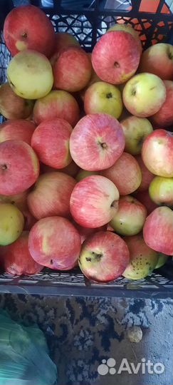 Яблоки