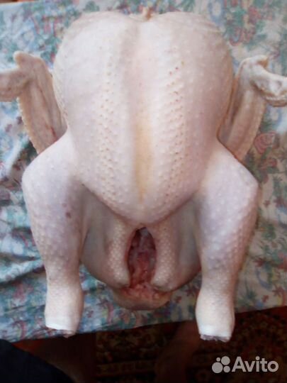 Мясо домашней индейки