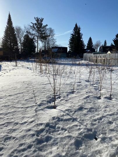 Участок 6,7 сот. (СНТ, ДНП)