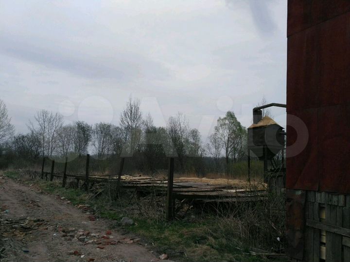 Цех лесопиления