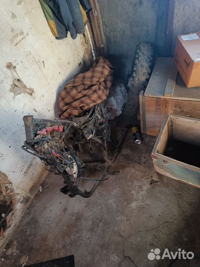 Пантера Рейсер