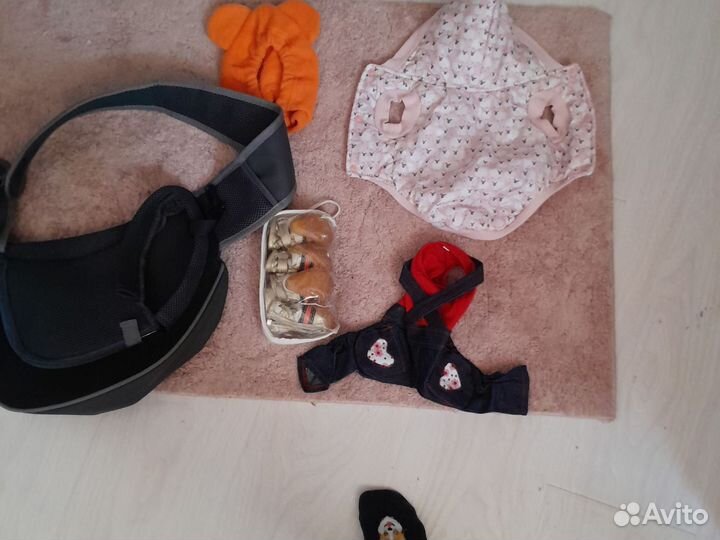 Одежда для собак