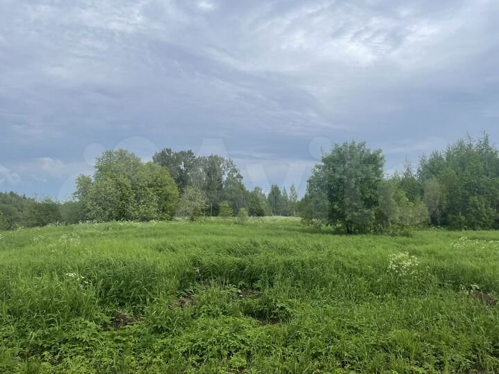 Участок 25 сот. (ИЖС)