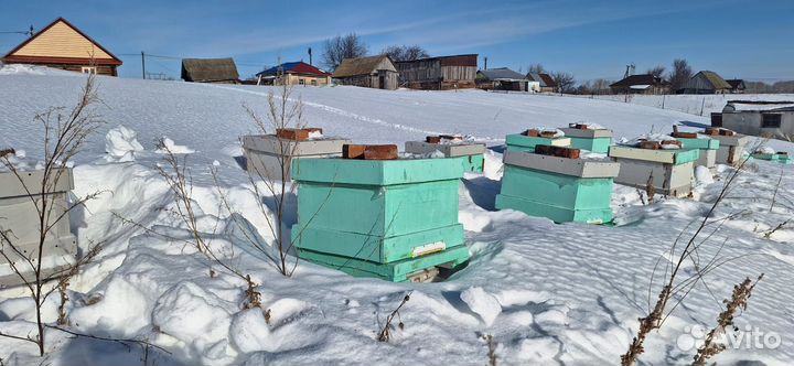 Улики ладан,из ппс,12 магазинные