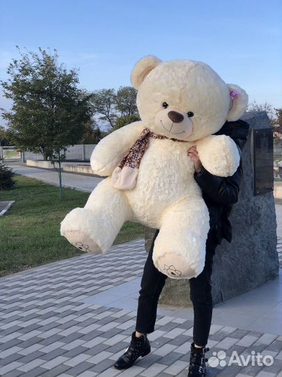 Плюшевые мишки