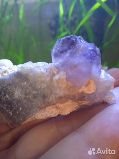 Аметист скипетр