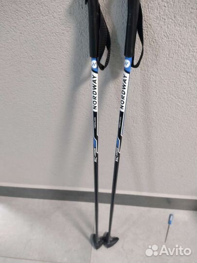 Лыжные палки