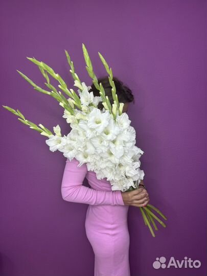 Гладиолусы. Белые гладиолусы. Букет гладиолусов