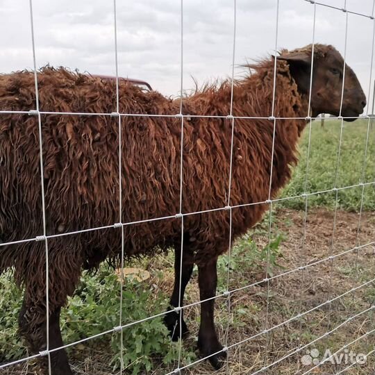 Шарнирная сетка высотой 1,9м из проволоки 2,0 мм