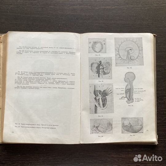 Учебник акушерства, Выдрин М. Л., Гизбел, 1938