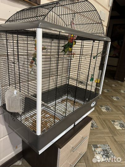 Клетка для попугаев