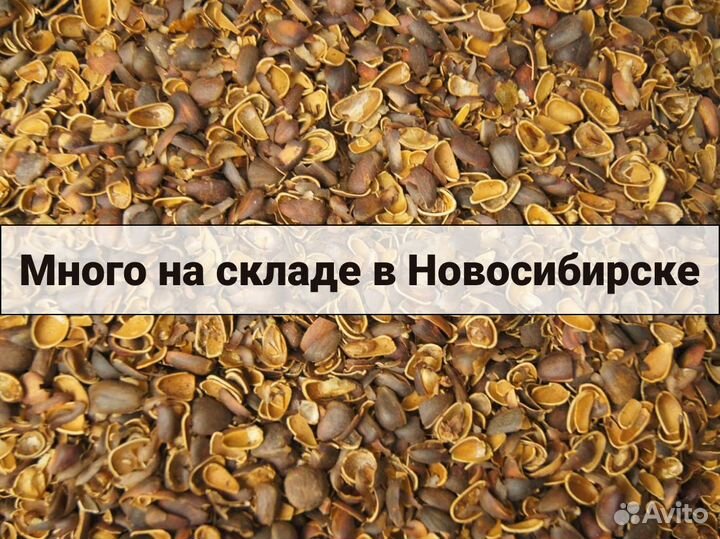 Мульча из скорлупы ореха для декора клумбы