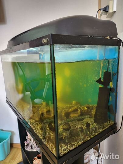Аквариум