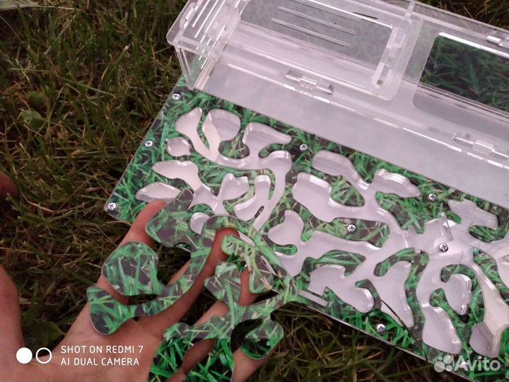 Муравьиная ферма