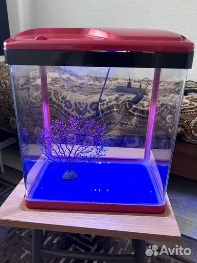 Аквариум 15 литров