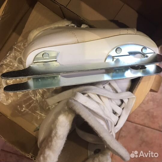 Коньки двухполознве