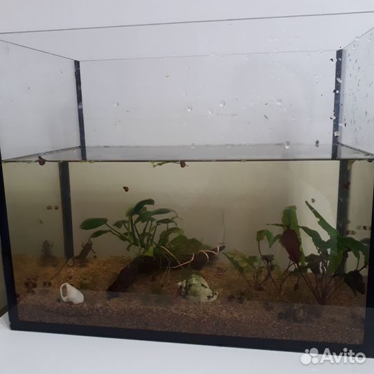 Аквариум 25л с содержимым