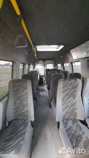 Междугородний / Пригородный автобус IVECO Daily, 2013