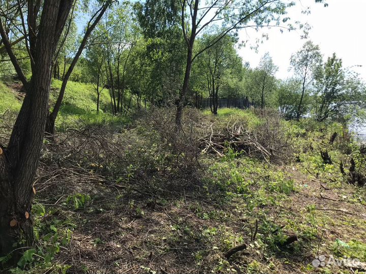 Измельчитель веток аренда