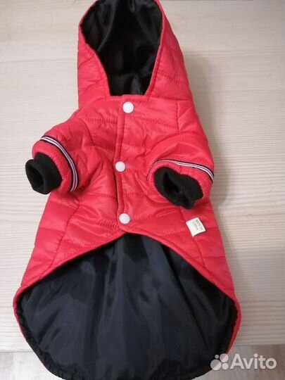 Вещи для собак мелких пород