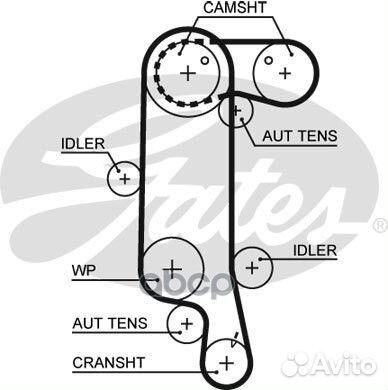 Ремень грм audi / skoda / VW 1.4-1.6 99-07 / 00