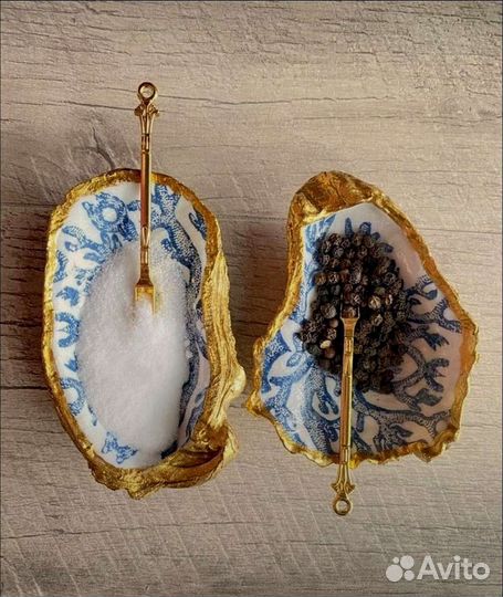 Морские ракушки раковины Устрица Устричные ракушки