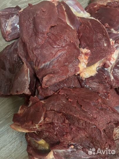 Мясо говядина