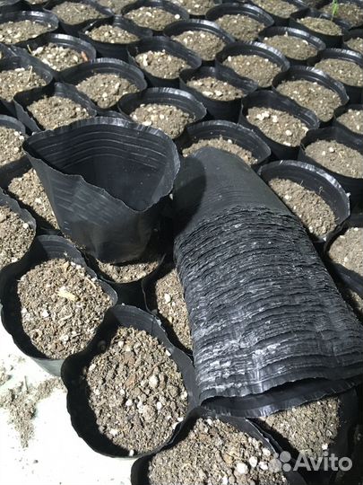 Стаканчики для рассады. Полиэтилен