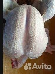 Забой индюка под заказ