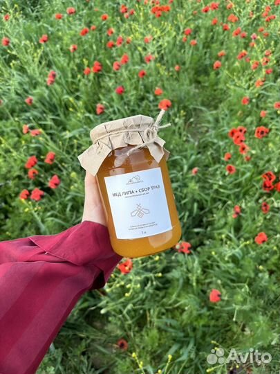 Мед липа+донник+сбор трав