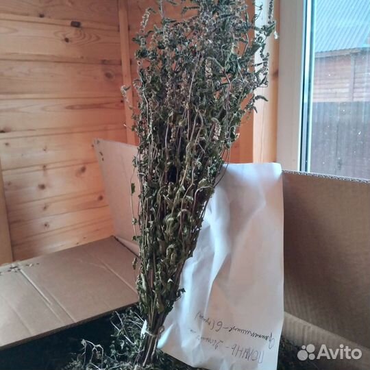 Травяные веники для парной бани. Чайные травы