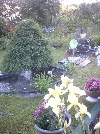 Участок 2,7 сот. (ИЖС)