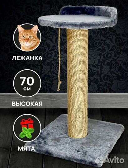 Когтеточка для кота