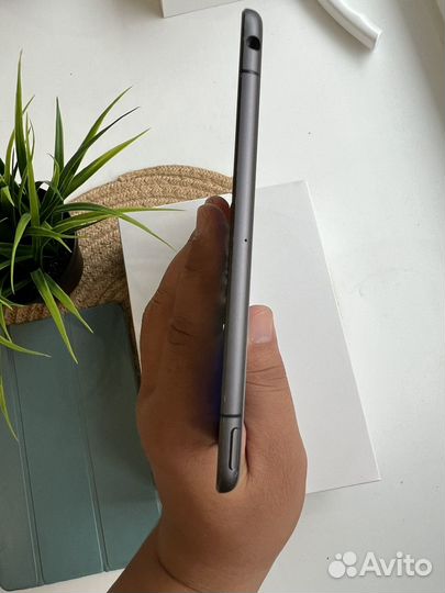 iPad Mini 5 Wi-Fi & Cellular рст