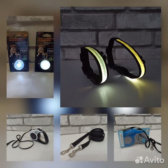 Ошейники, рулетки, поводки для собак