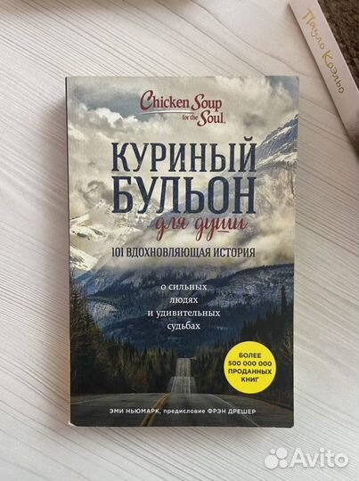 Куриный бульон для души