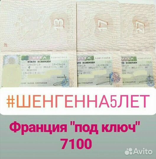 Визы Шенген, Загранпаспорта, Запись на Францию