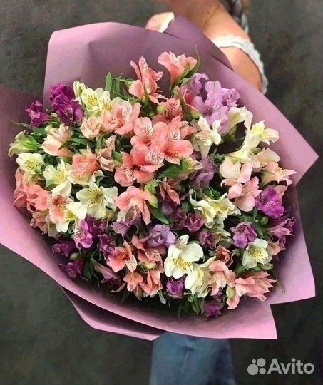 Альстромерия роза цветы